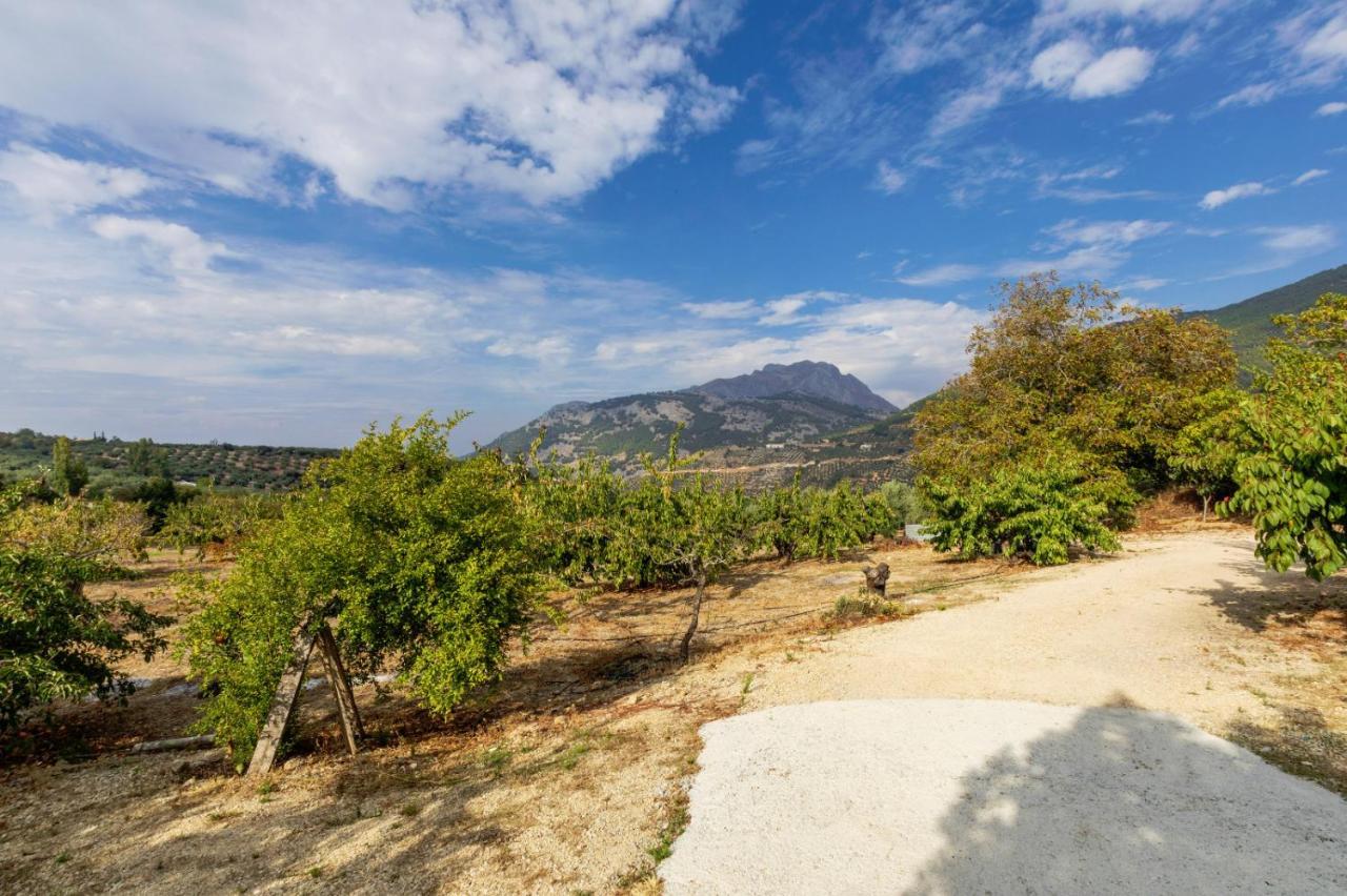 Villa Casa Jurinea Alzar à Torres  Extérieur photo