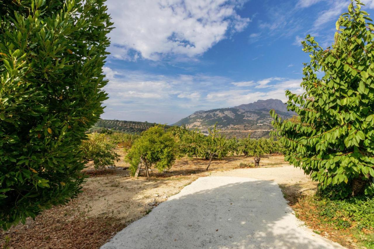 Villa Casa Jurinea Alzar à Torres  Extérieur photo